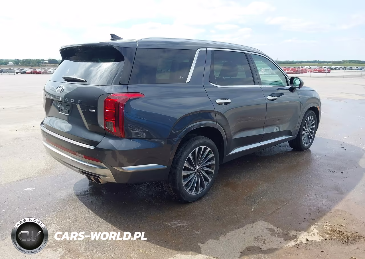 2024 Hyundai Palisade Calligraphy VIN:KM8R7DGE7RU666463 - 4