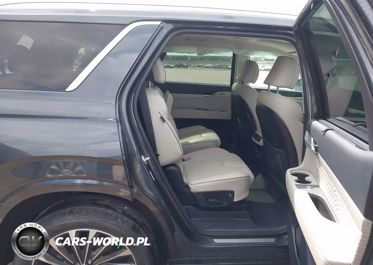 2024 Hyundai Palisade Calligraphy VIN:KM8R7DGE7RU666463 - 8