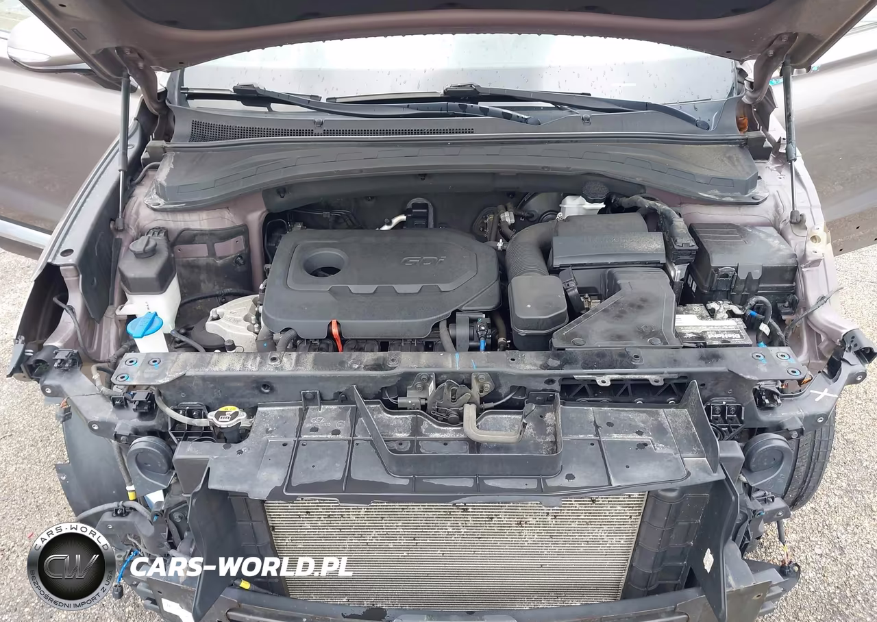 2019 Hyundai Santa Fe Limited VIN:5NMS5CAD8KH004748 - 10