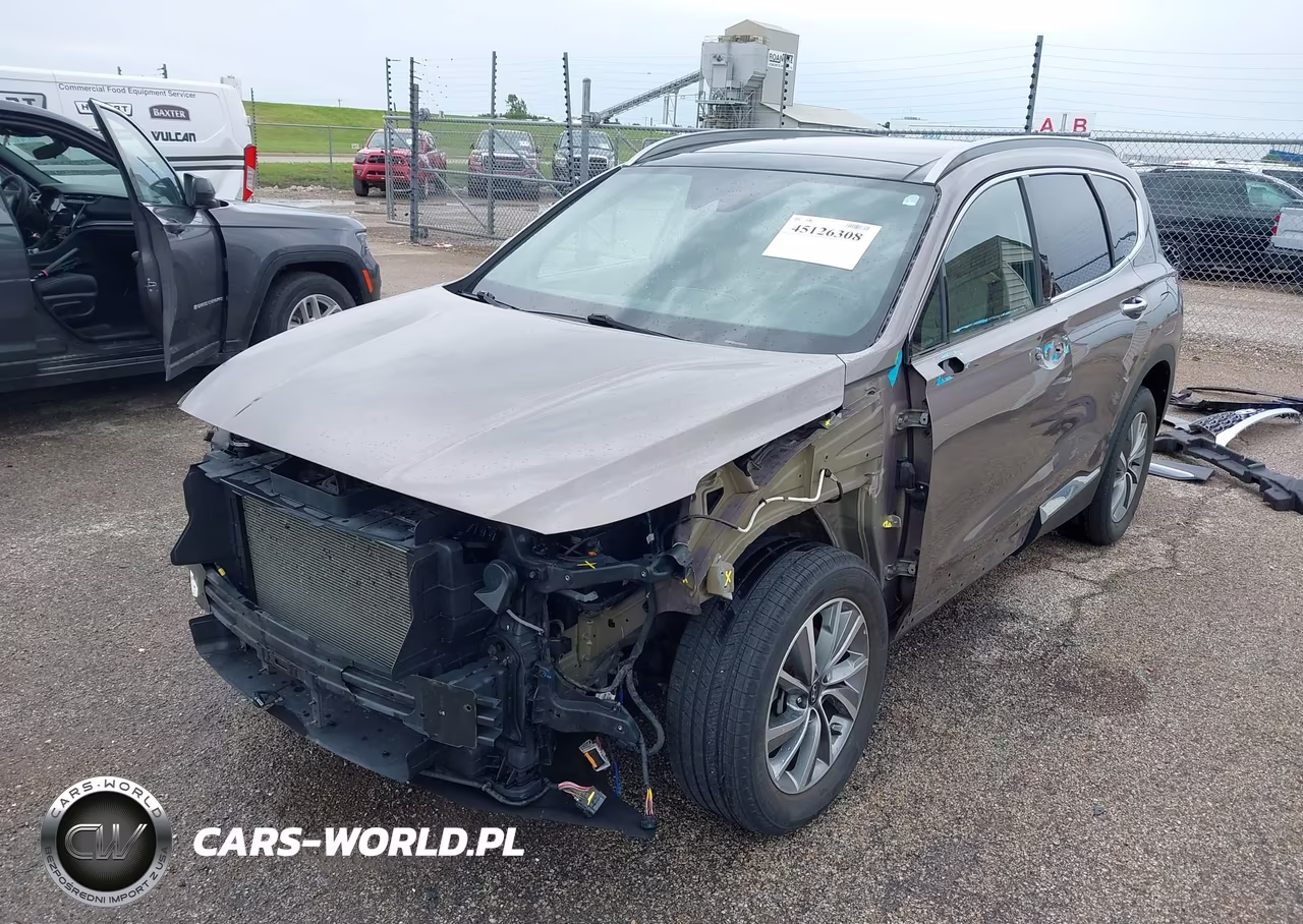 2019 Hyundai Santa Fe Limited VIN:5NMS5CAD8KH004748 - 2