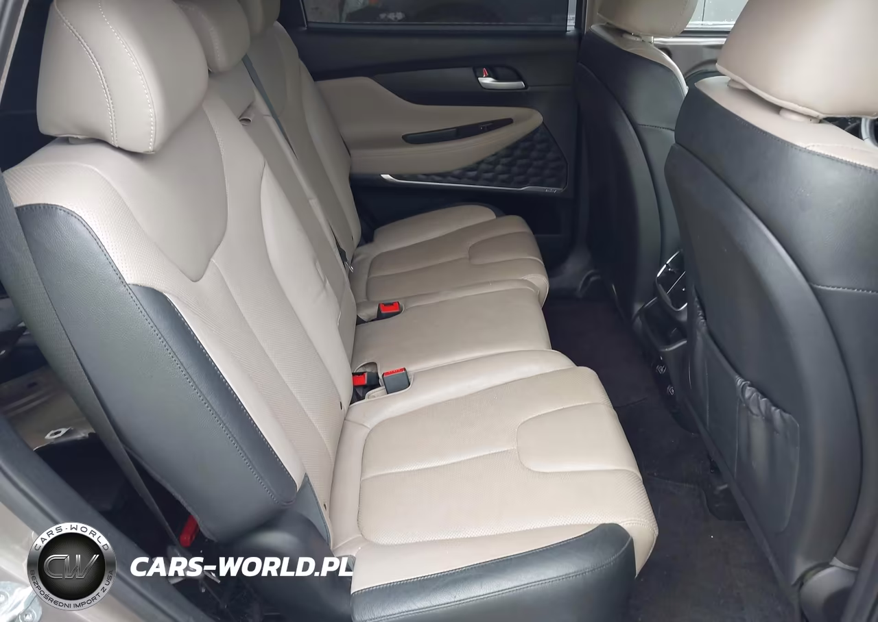 2019 Hyundai Santa Fe Limited VIN:5NMS5CAD8KH004748 - 8