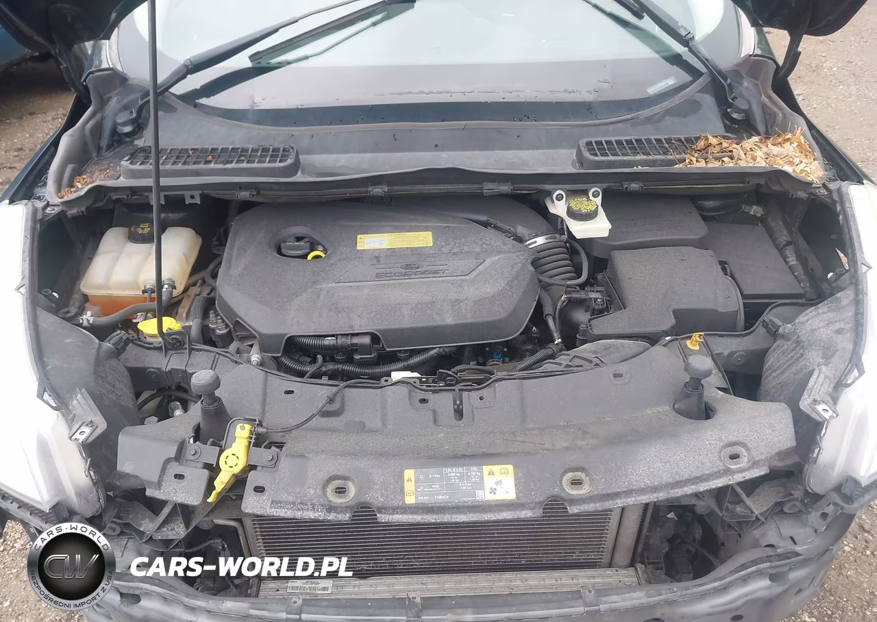 2013 Ford Escape Se VIN:1FMCU9GX5DUD80035 - 10