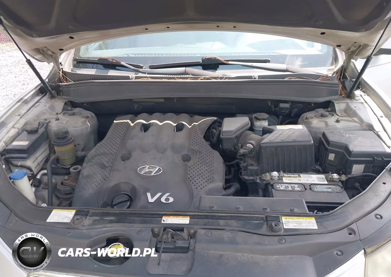 2007 Hyundai Santa Fe Gls VIN:5NMSG13D87H106487 - 10