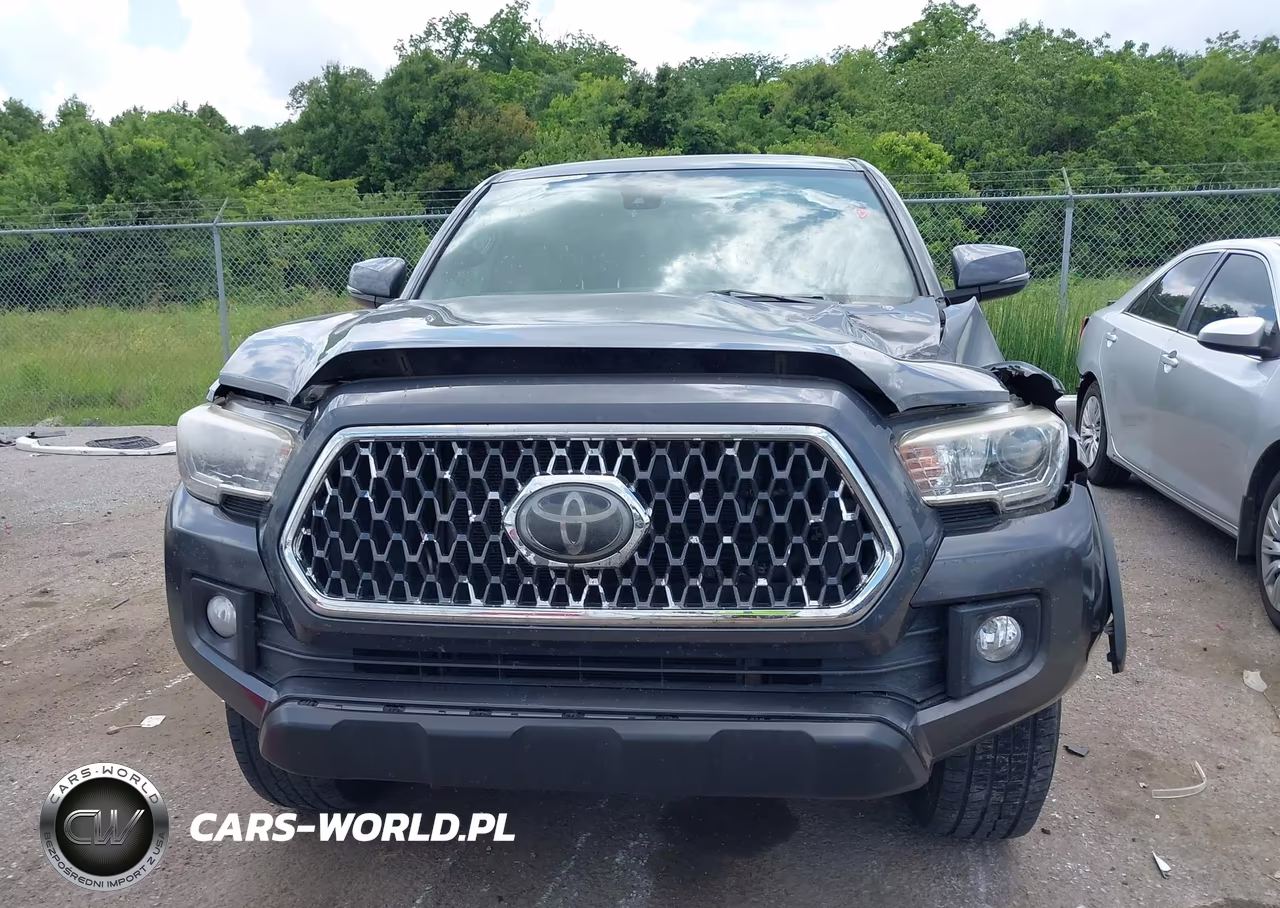 2019 Toyota Tacoma Trd Off Road VIN:3TMCZ5AN7KM214459 - 12