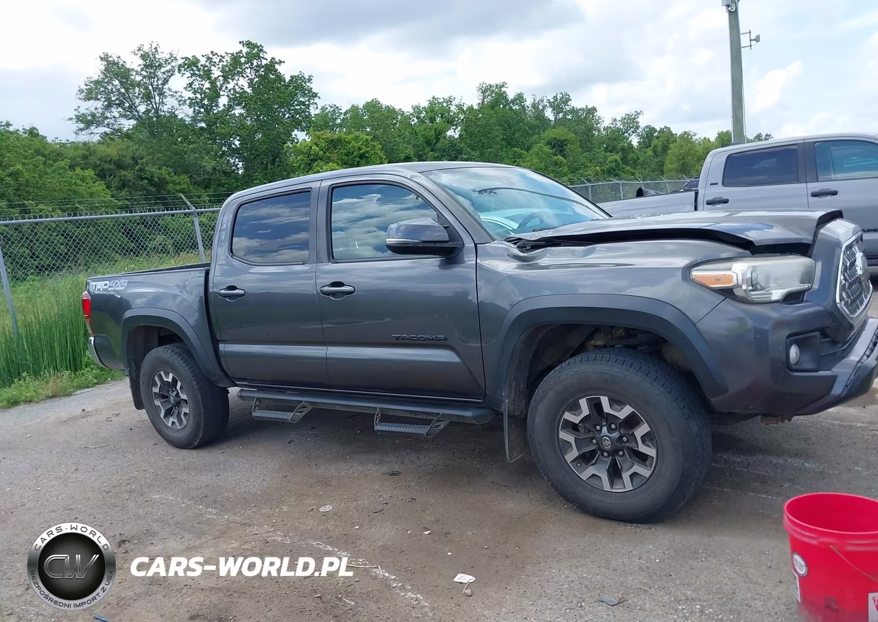 2019 Toyota Tacoma Trd Off Road VIN:3TMCZ5AN7KM214459 - 13