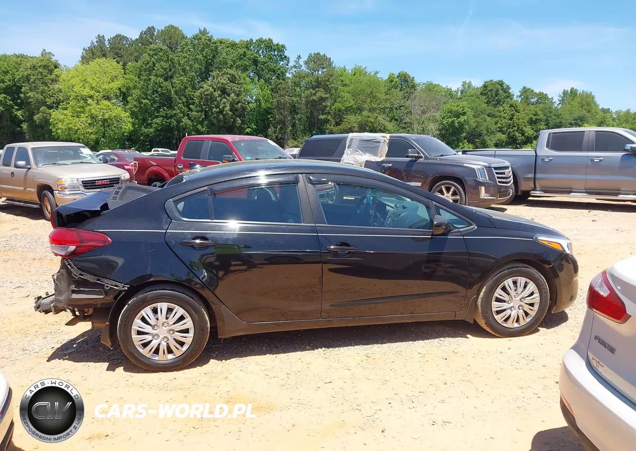 2017 Kia Forte Lx VIN:3KPFL4A71HE143496 - 13