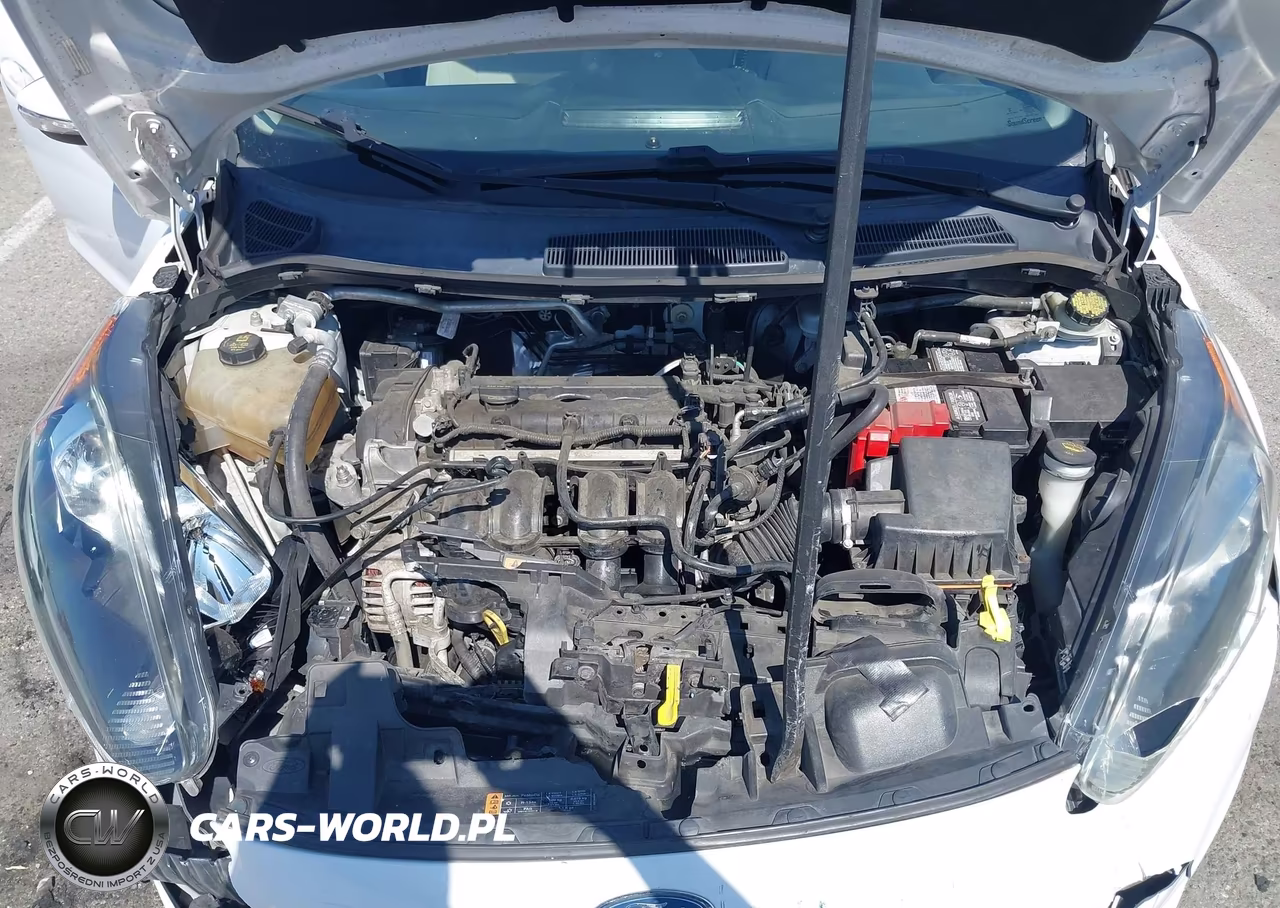 2014 Ford Fiesta Se VIN:3FADP4EJ7EM216962 - 10