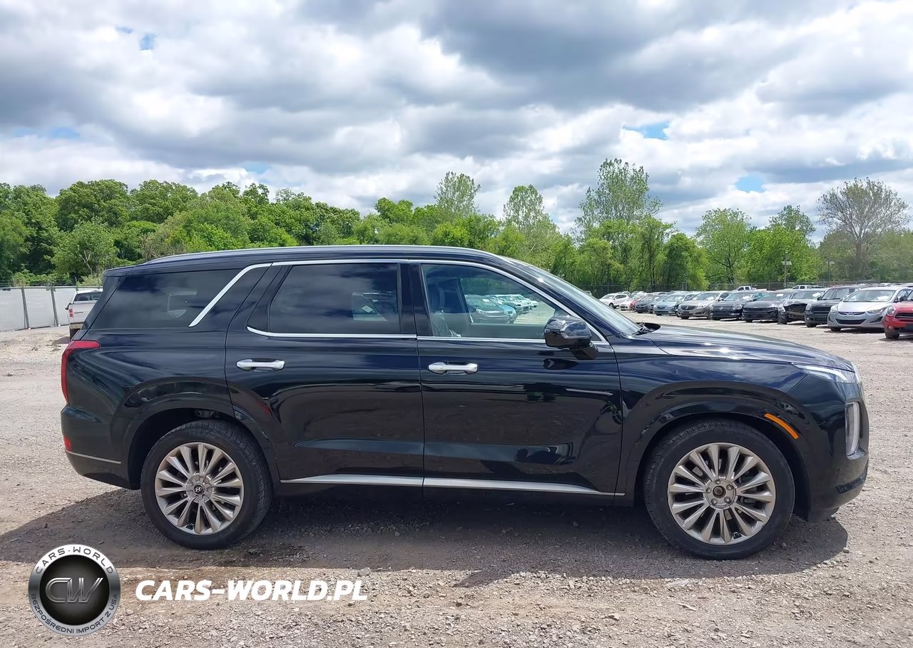 2020 Hyundai Palisade Limited VIN:KM8R5DHE5LU048330 - 13