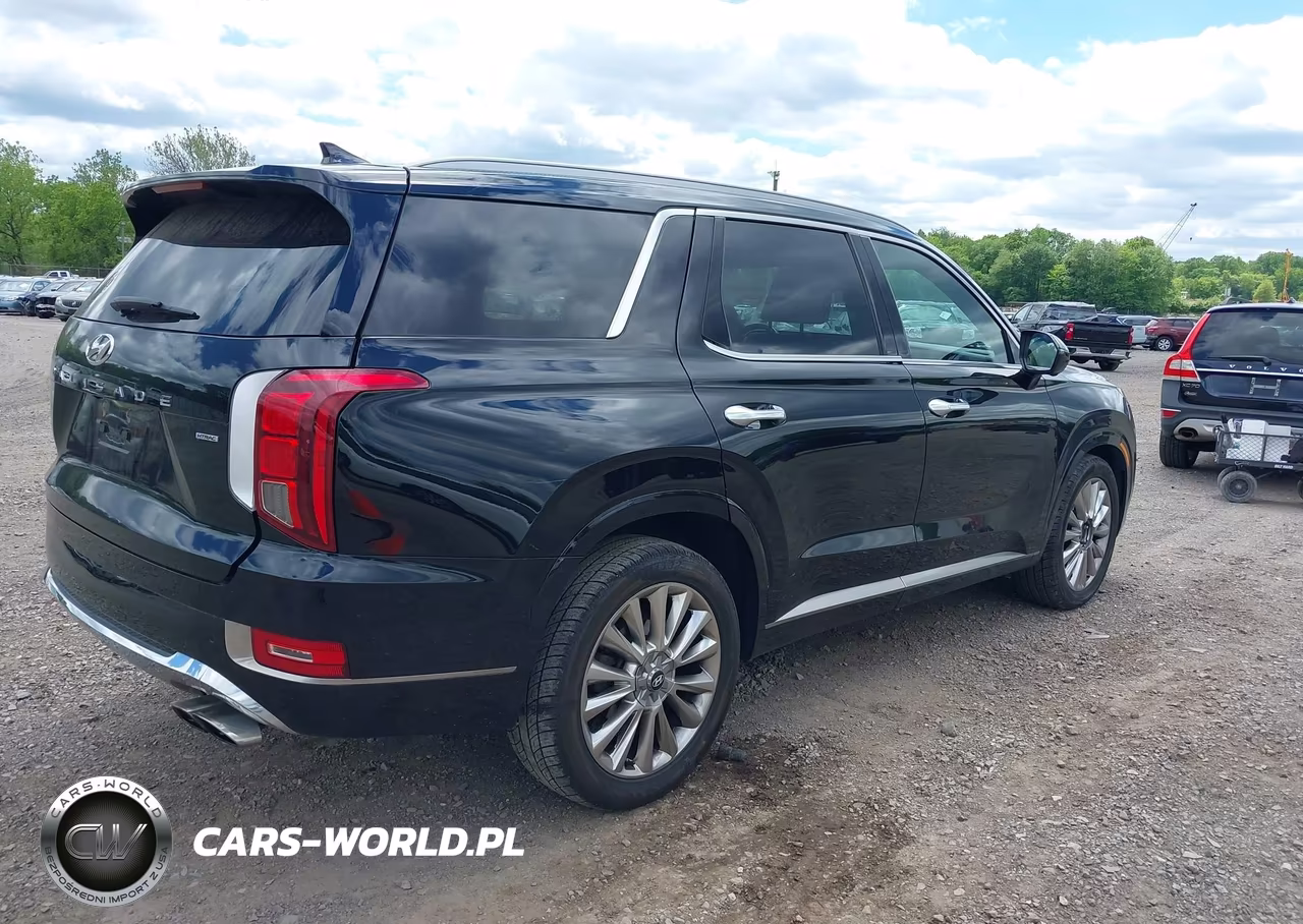2020 Hyundai Palisade Limited VIN:KM8R5DHE5LU048330 - 4