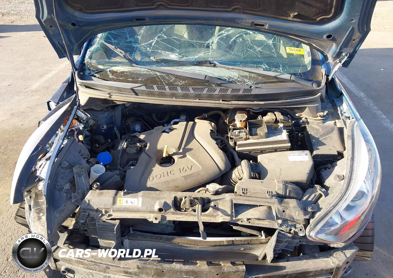 2014 Hyundai Elantra Limited VIN:KMHDH4AE7EU106002 - 10