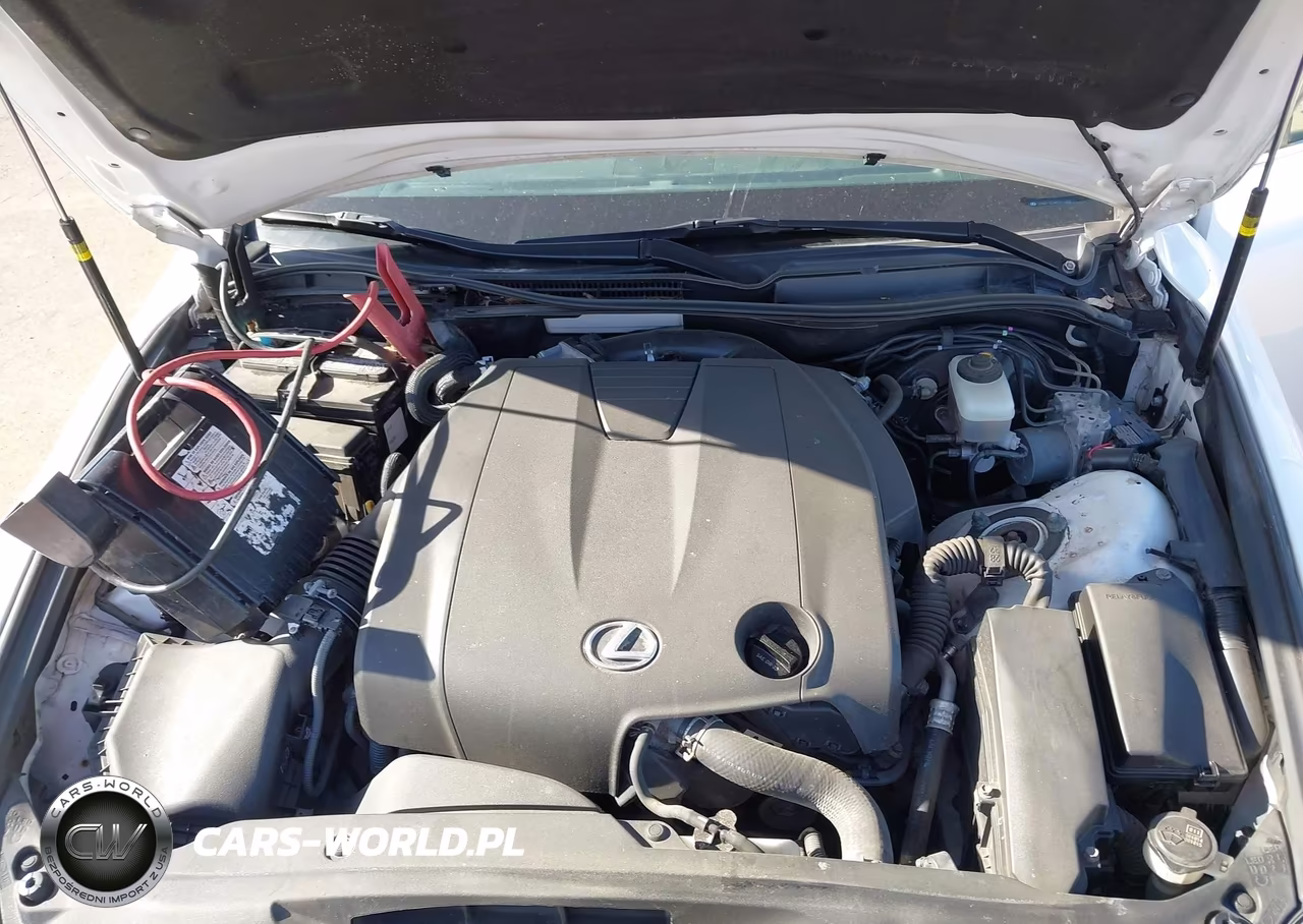 2014 Lexus Is 250 VIN:JTHCF1D24E5013453 - 10