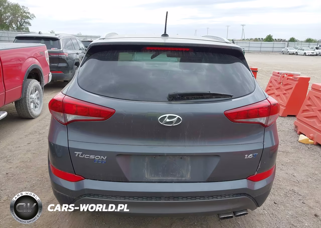 2016 Hyundai Tucson Eco VIN:KM8J33A24GU094296 - 16