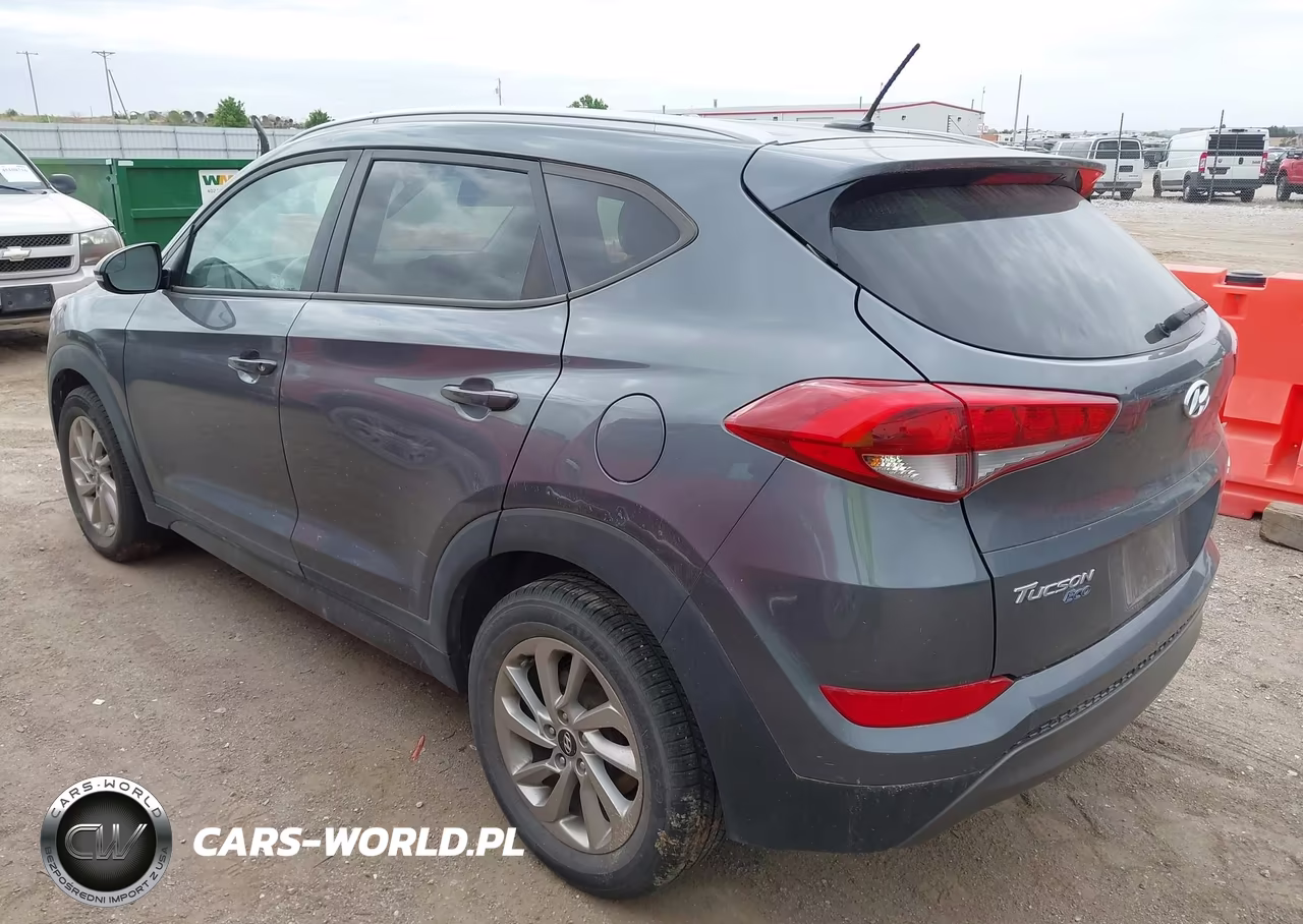 2016 Hyundai Tucson Eco VIN:KM8J33A24GU094296 - 3