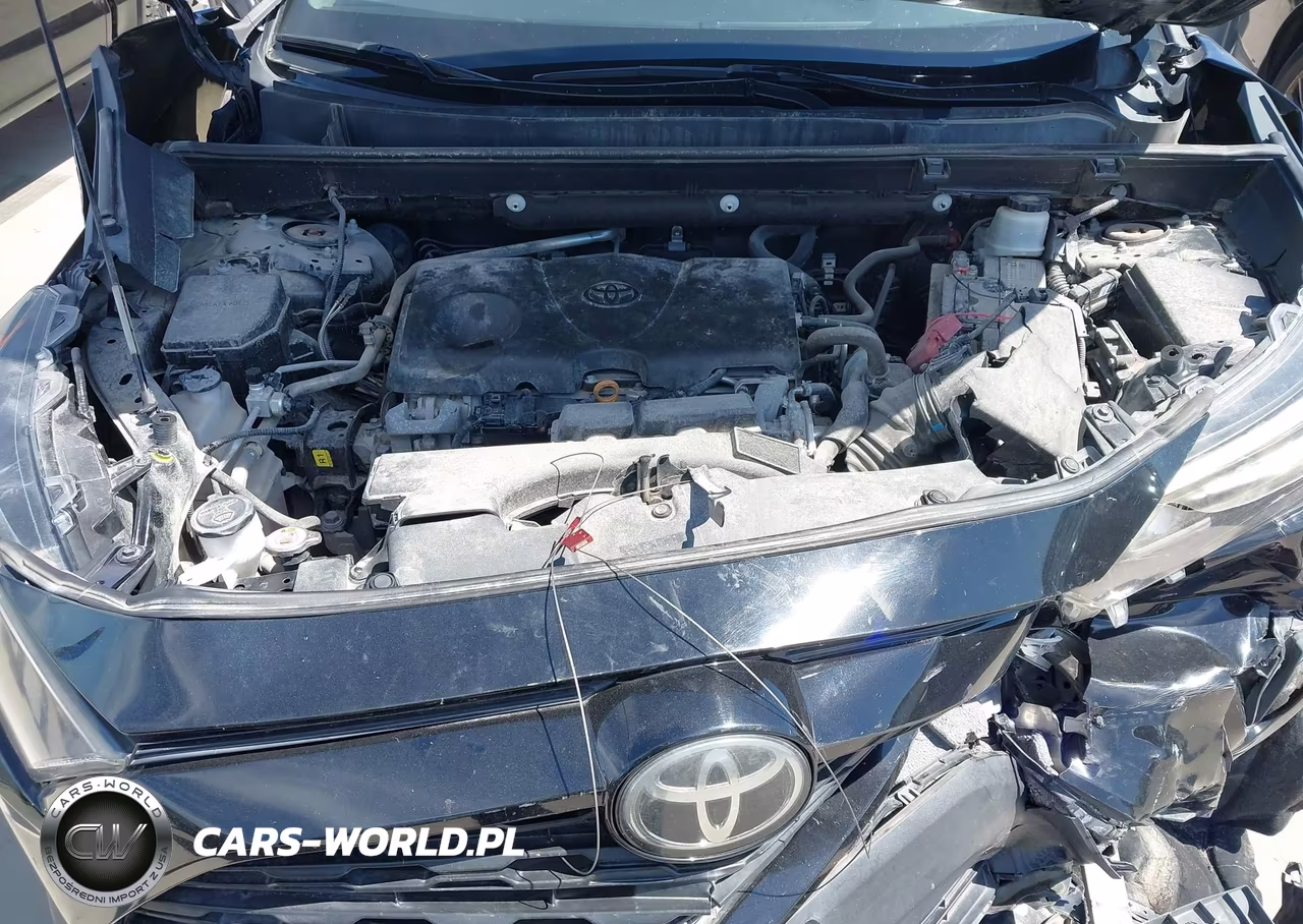 2019 Toyota Rav4 Le VIN:2T3H1RFV5KC006996 - 10