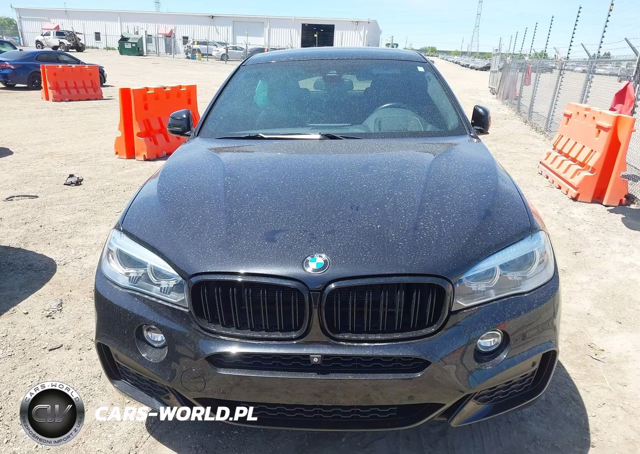 2015 BMW X6 xDrive35I VIN:5UXKU2C58F0N77530 - 12