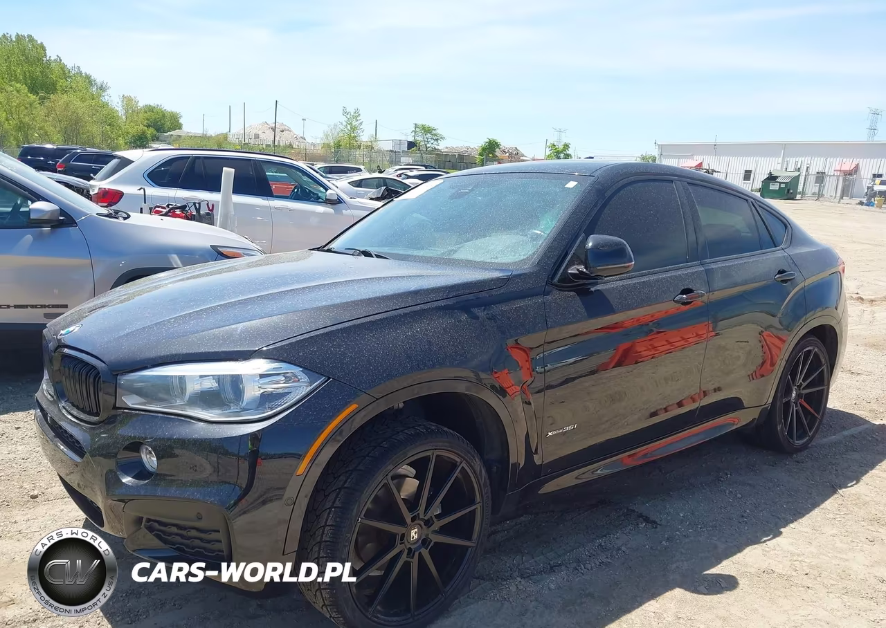 2015 BMW X6 xDrive35I VIN:5UXKU2C58F0N77530 - 14
