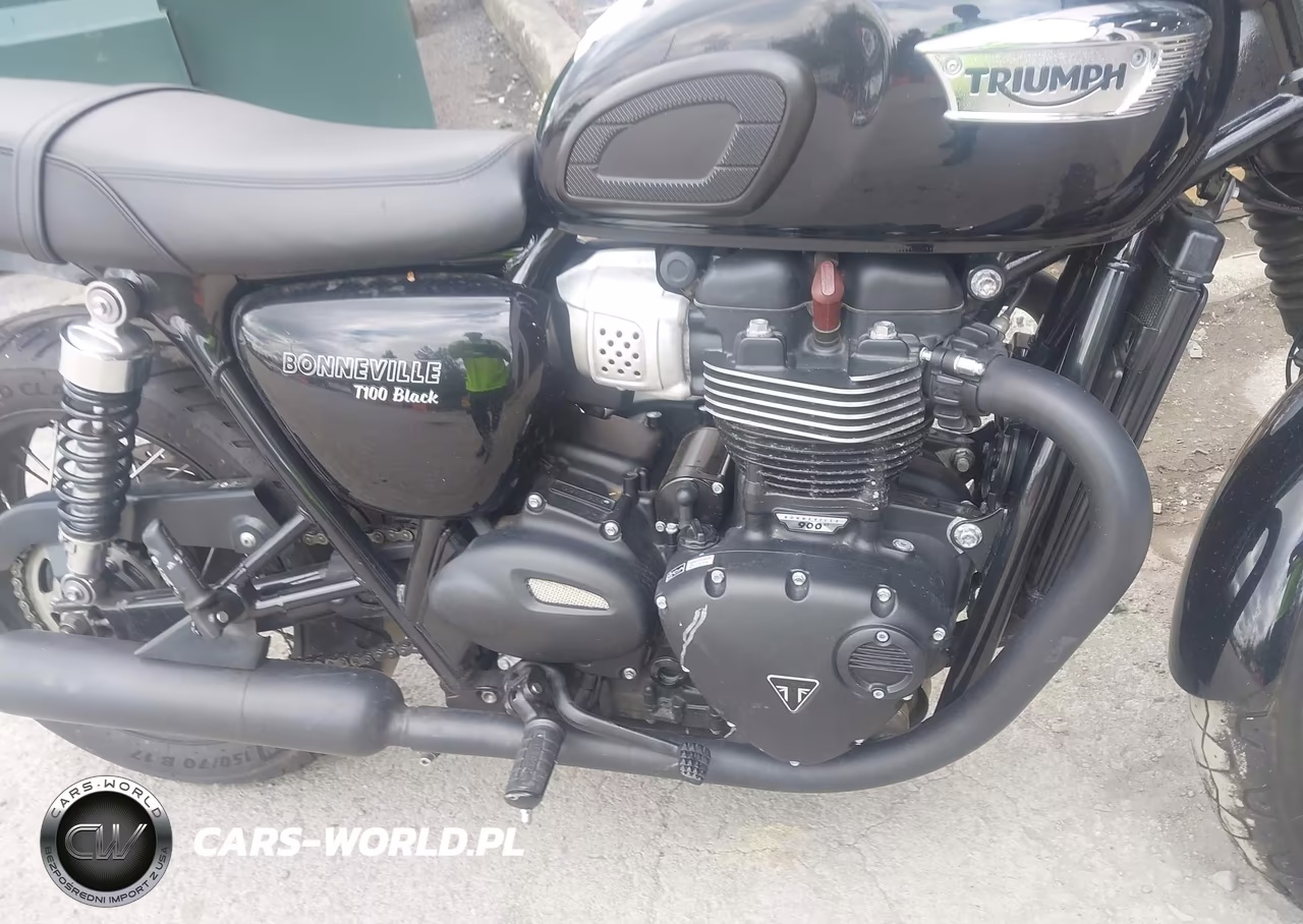 2020 Triumph Motorcycle Bonneville T100 VIN:SMTD10GN0LT973514 - 8