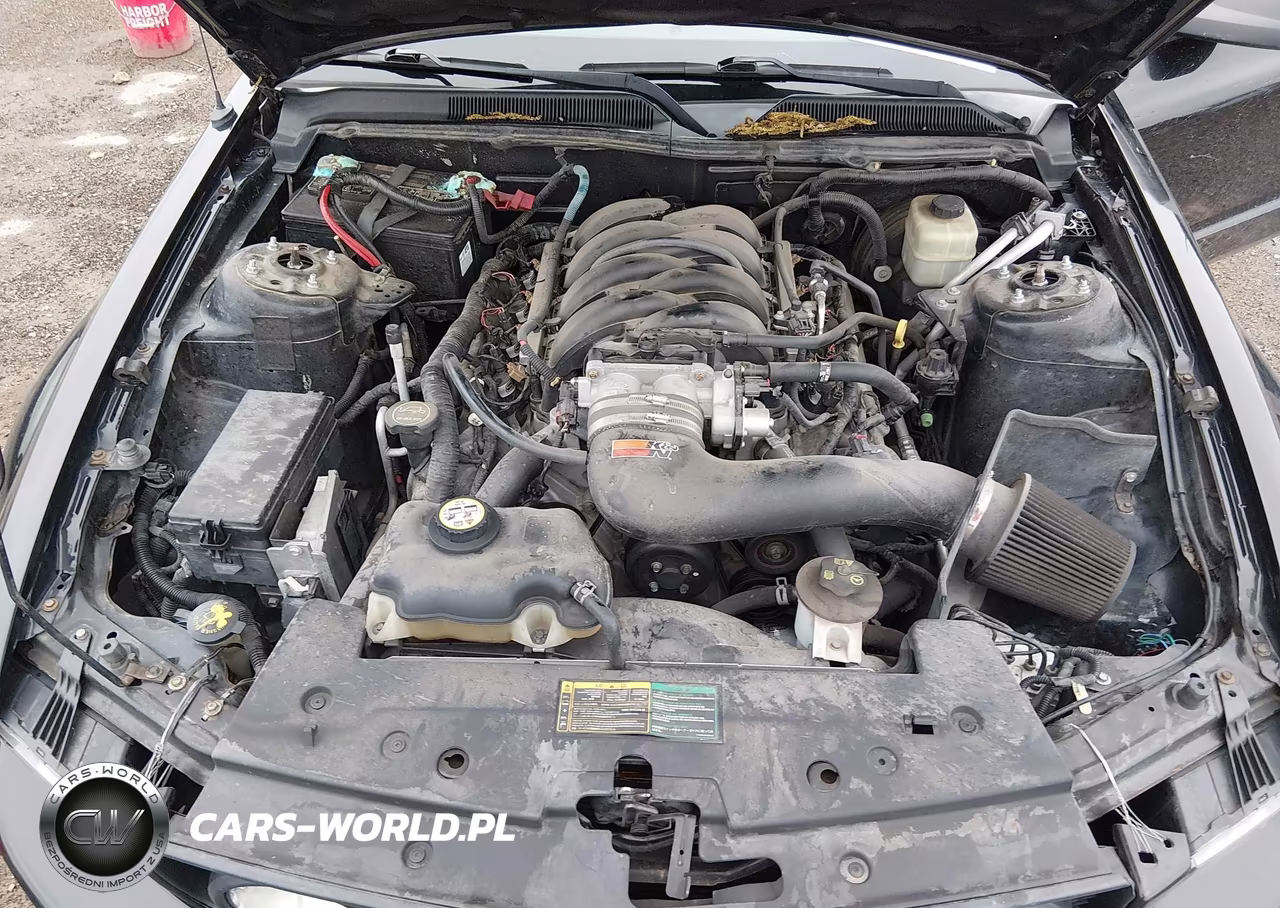 2006 Ford Mustang Gt VIN:1ZVFT82H765246460 - 10