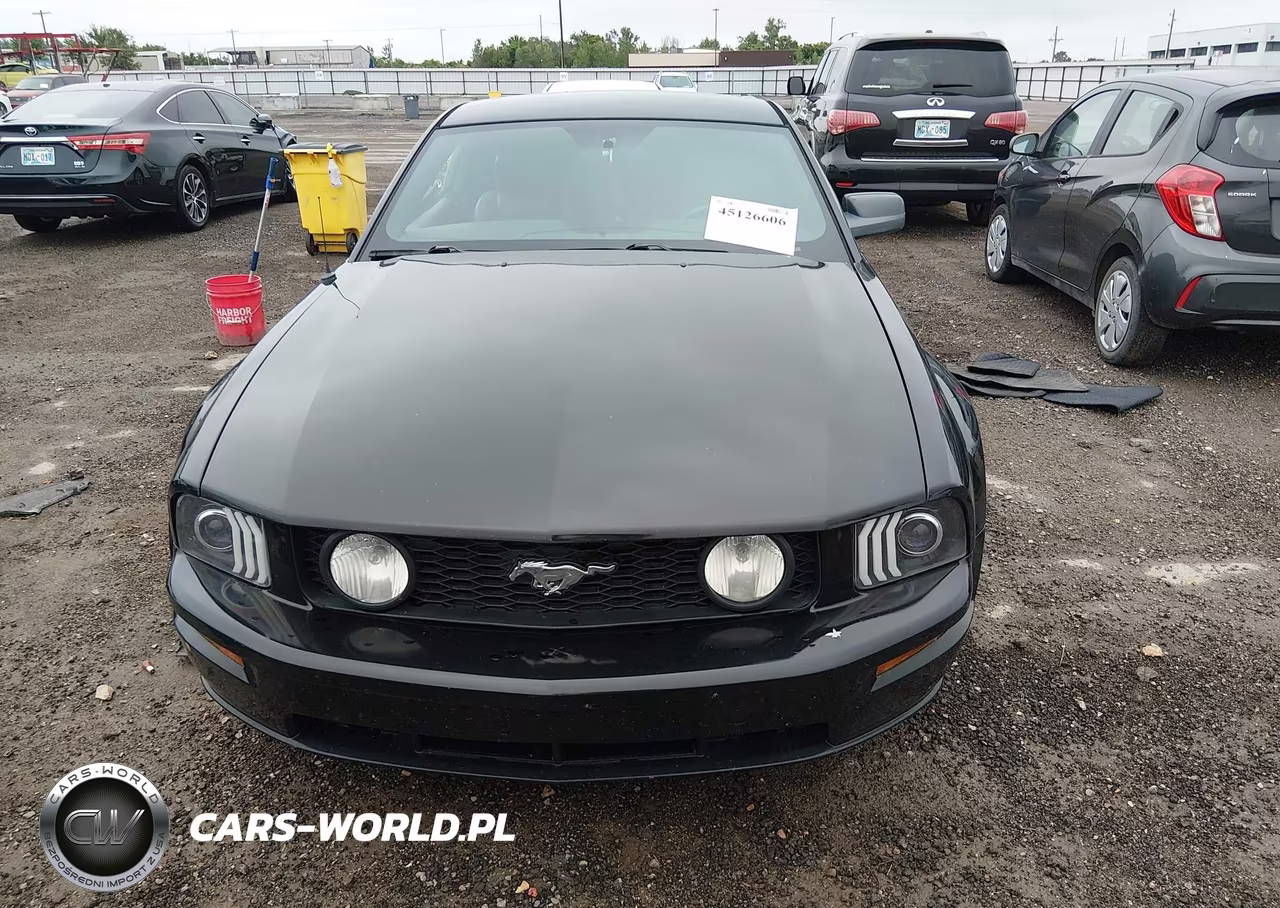 2006 Ford Mustang Gt VIN:1ZVFT82H765246460 - 12