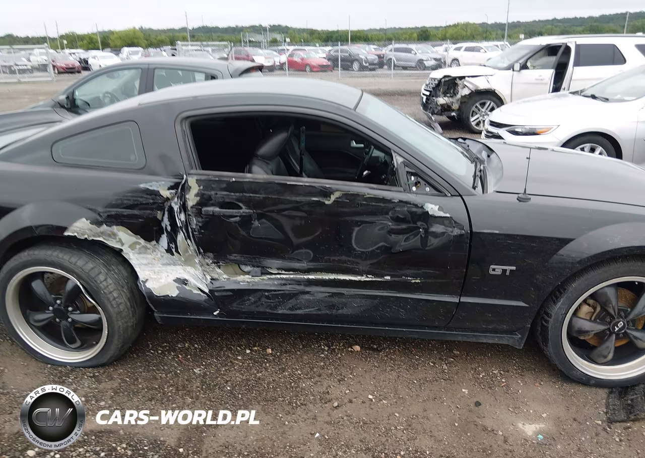 2006 Ford Mustang Gt VIN:1ZVFT82H765246460 - 13