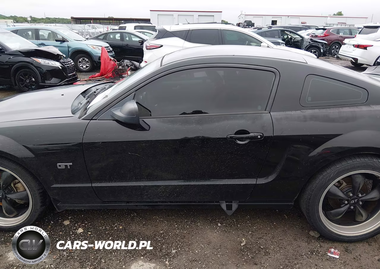 2006 Ford Mustang Gt VIN:1ZVFT82H765246460 - 14