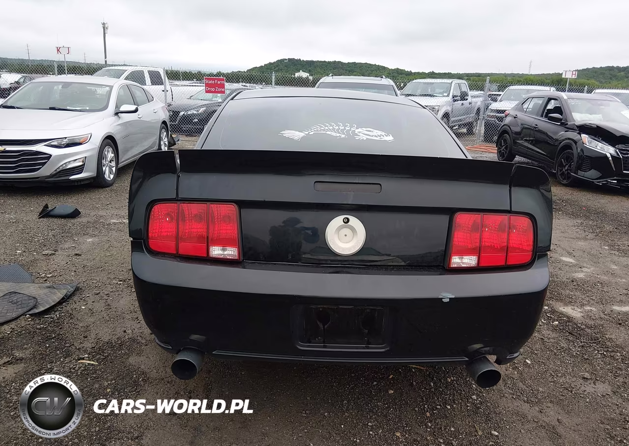 2006 Ford Mustang Gt VIN:1ZVFT82H765246460 - 16