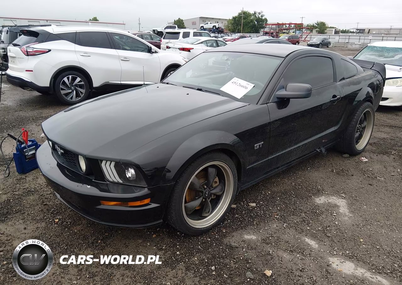 2006 Ford Mustang Gt VIN:1ZVFT82H765246460 - 2