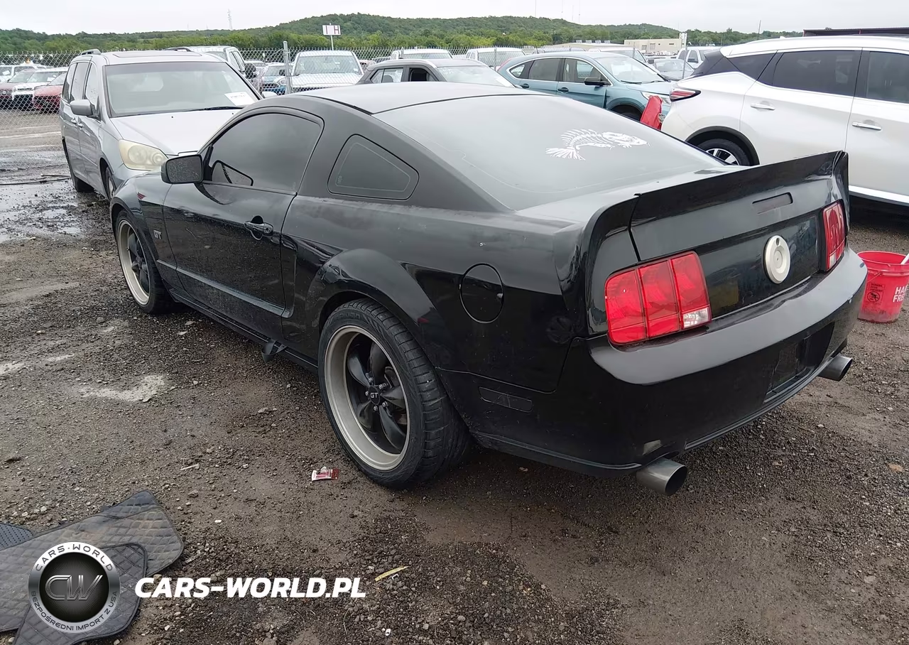 2006 Ford Mustang Gt VIN:1ZVFT82H765246460 - 3