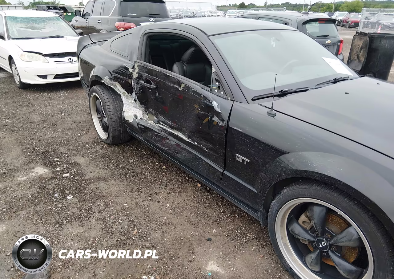 2006 Ford Mustang Gt VIN:1ZVFT82H765246460 - 6