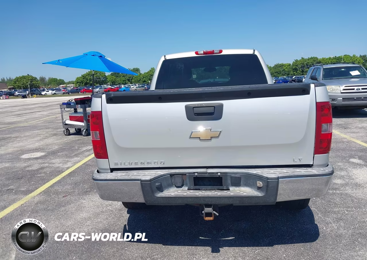 2010 Chevrolet Silverado 1500 Lt VIN:1GCSCSE01AZ247335 - 16