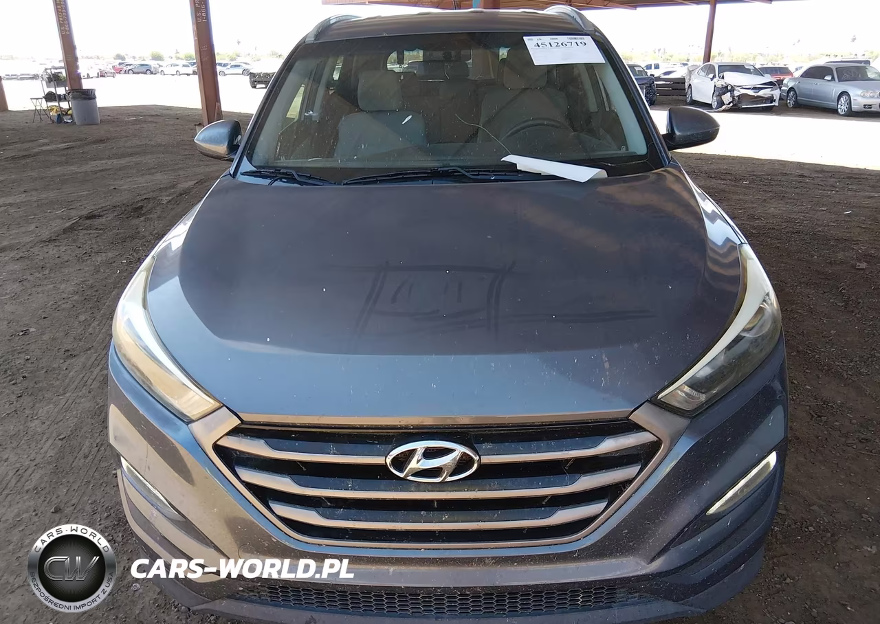 2016 Hyundai Tucson Se VIN:KM8J33A41GU176827 - 12