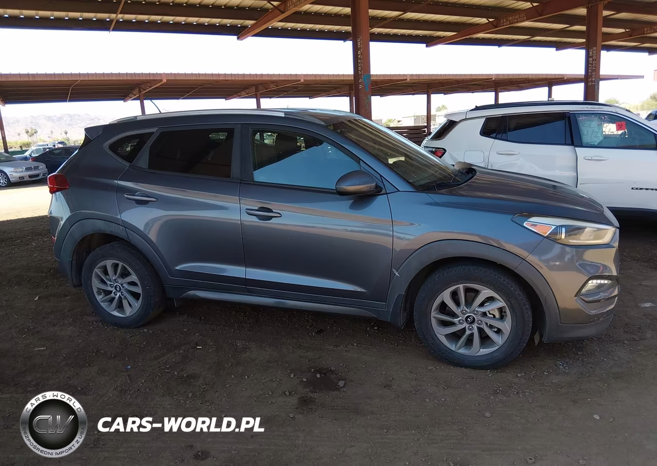 2016 Hyundai Tucson Se VIN:KM8J33A41GU176827 - 13