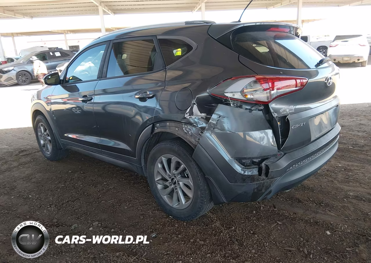 2016 Hyundai Tucson Se VIN:KM8J33A41GU176827 - 3