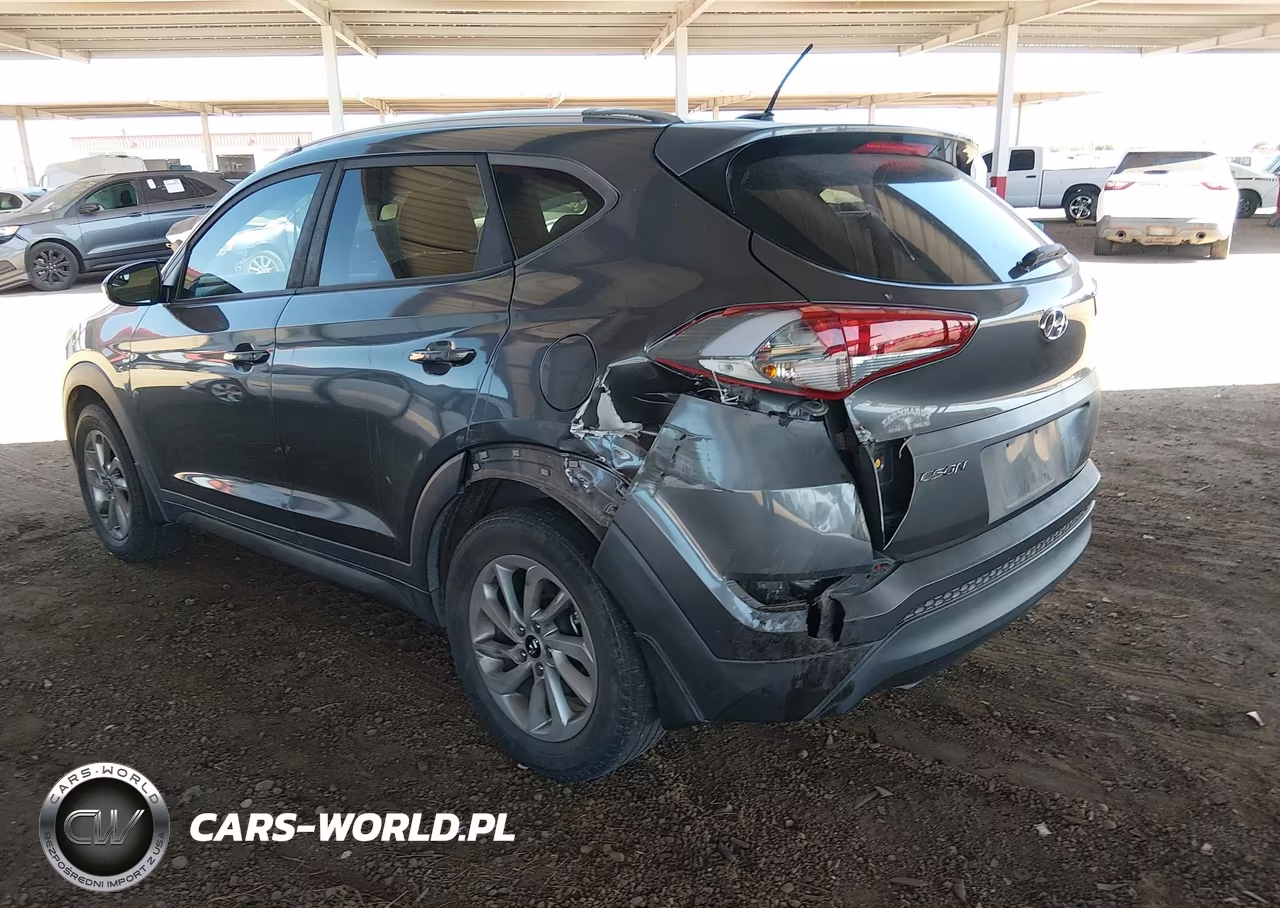 2016 Hyundai Tucson Se VIN:KM8J33A41GU176827 - 6