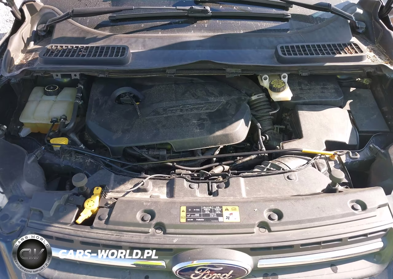 2014 Ford Escape Se VIN:1FMCU9GX4EUC03820 - 10