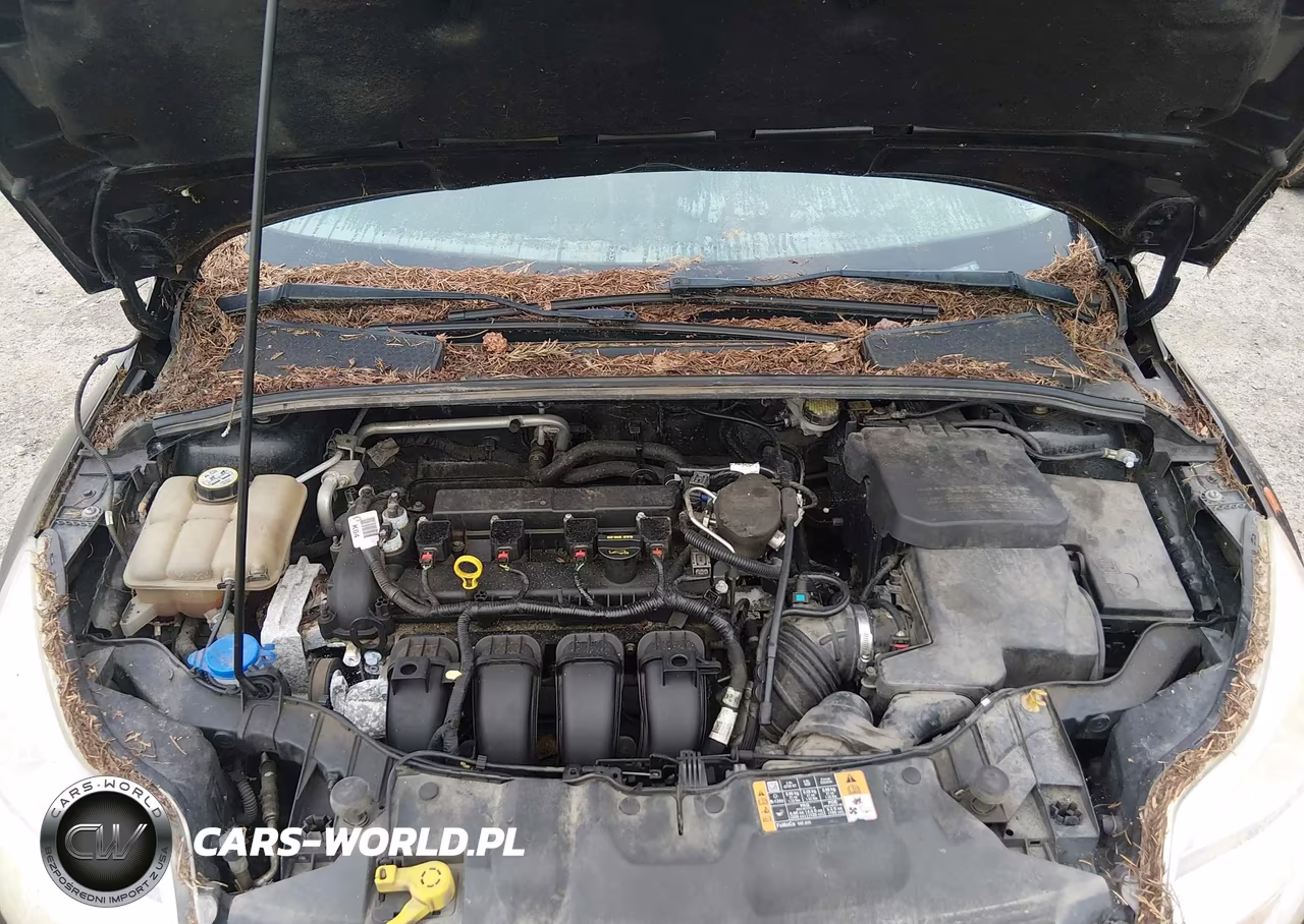 2014 Ford Focus Se VIN:1FADP3K24EL325310 - 10