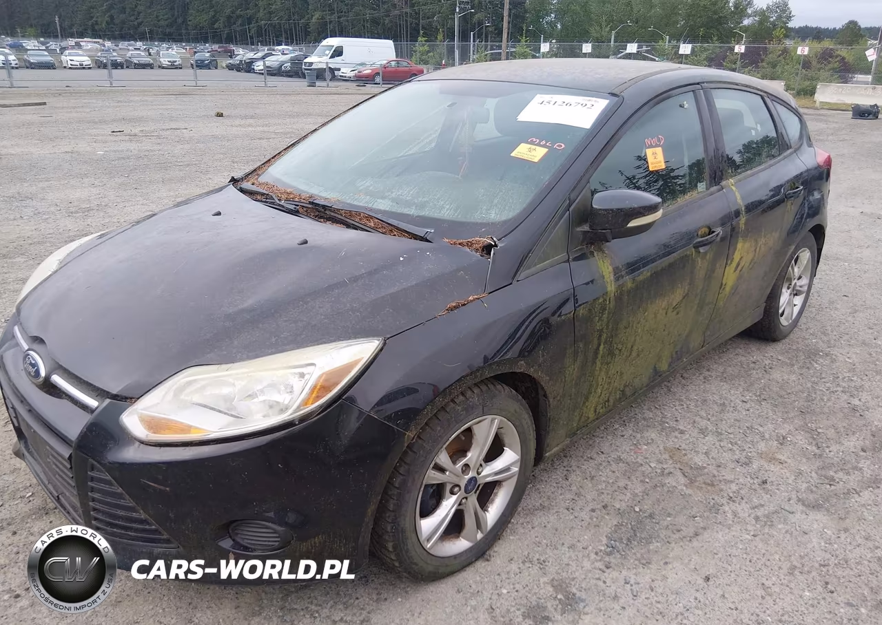 2014 Ford Focus Se VIN:1FADP3K24EL325310 - 6