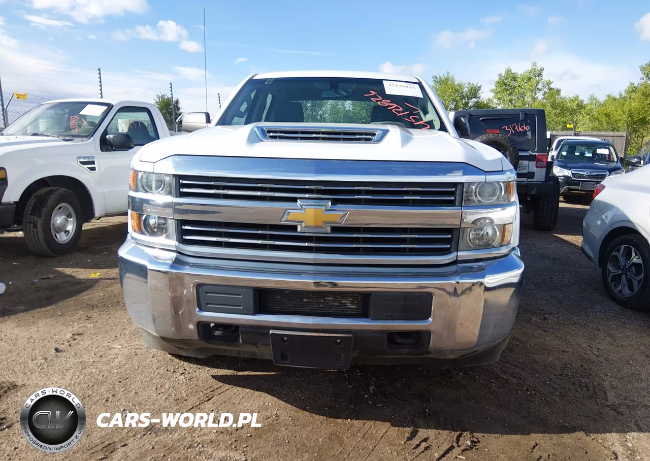 2018 Chevrolet Silverado 2500Hd Wt VIN:1GC1KUEY4JF241062 - 12