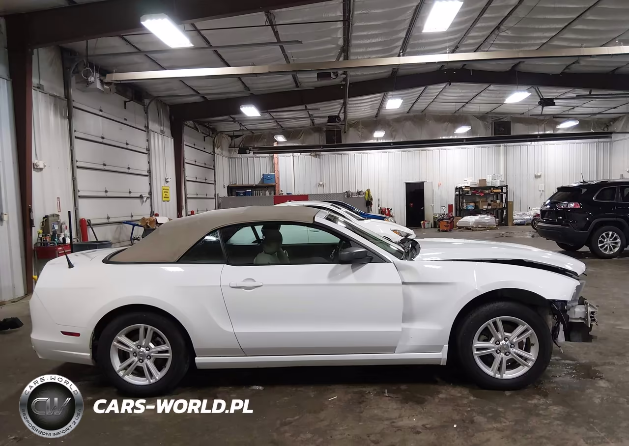 2014 Ford Mustang V6 VIN:1ZVBP8EMXE5231591 - 14
