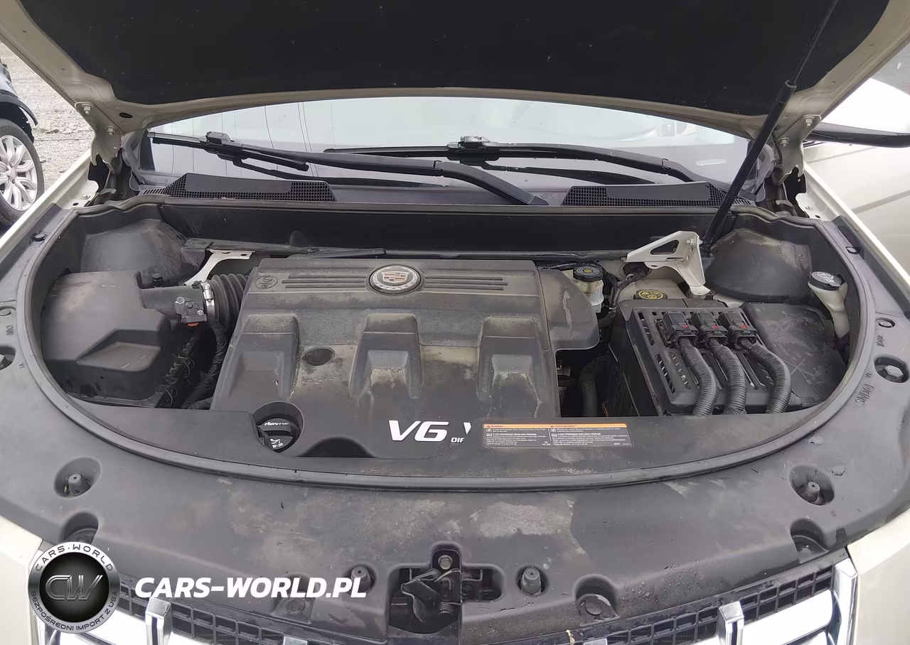 2014 Cadillac Srx Standard VIN:3GYFNAE30ES645200 - 10