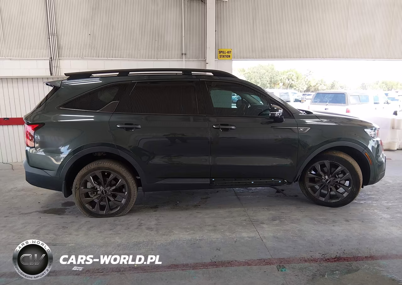 2023 Kia Sorento X-Line Sx Prestige VIN:5XYRKDLF1PG184992 - 14