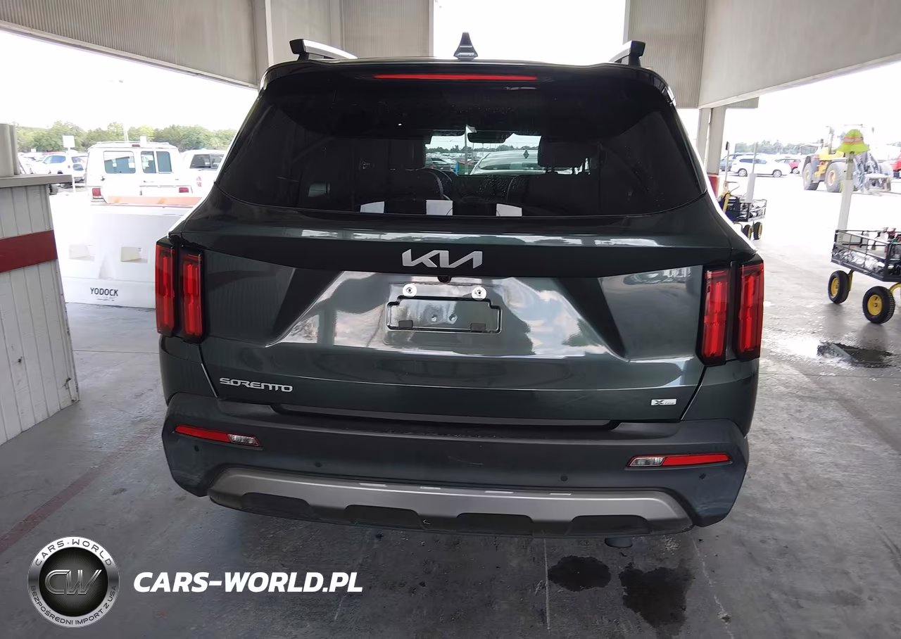 2023 Kia Sorento X-Line Sx Prestige VIN:5XYRKDLF1PG184992 - 17
