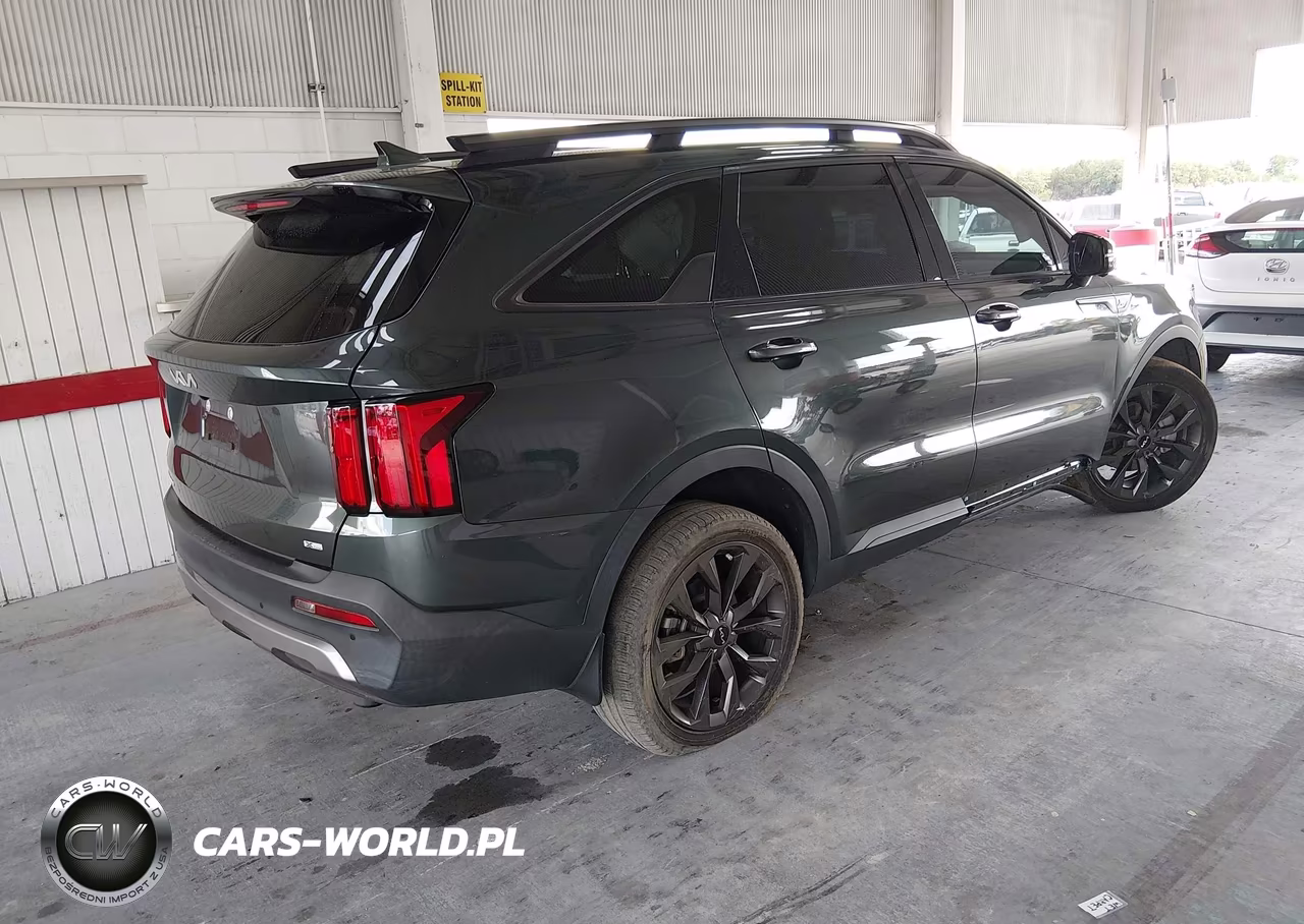 2023 Kia Sorento X-Line Sx Prestige VIN:5XYRKDLF1PG184992 - 4