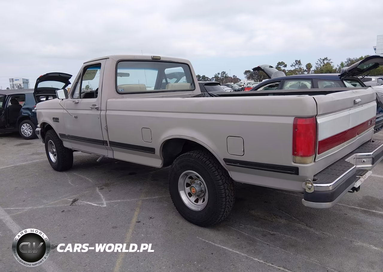 1990 Ford F150 VIN:1FTEF14N5LPA27223 - 3