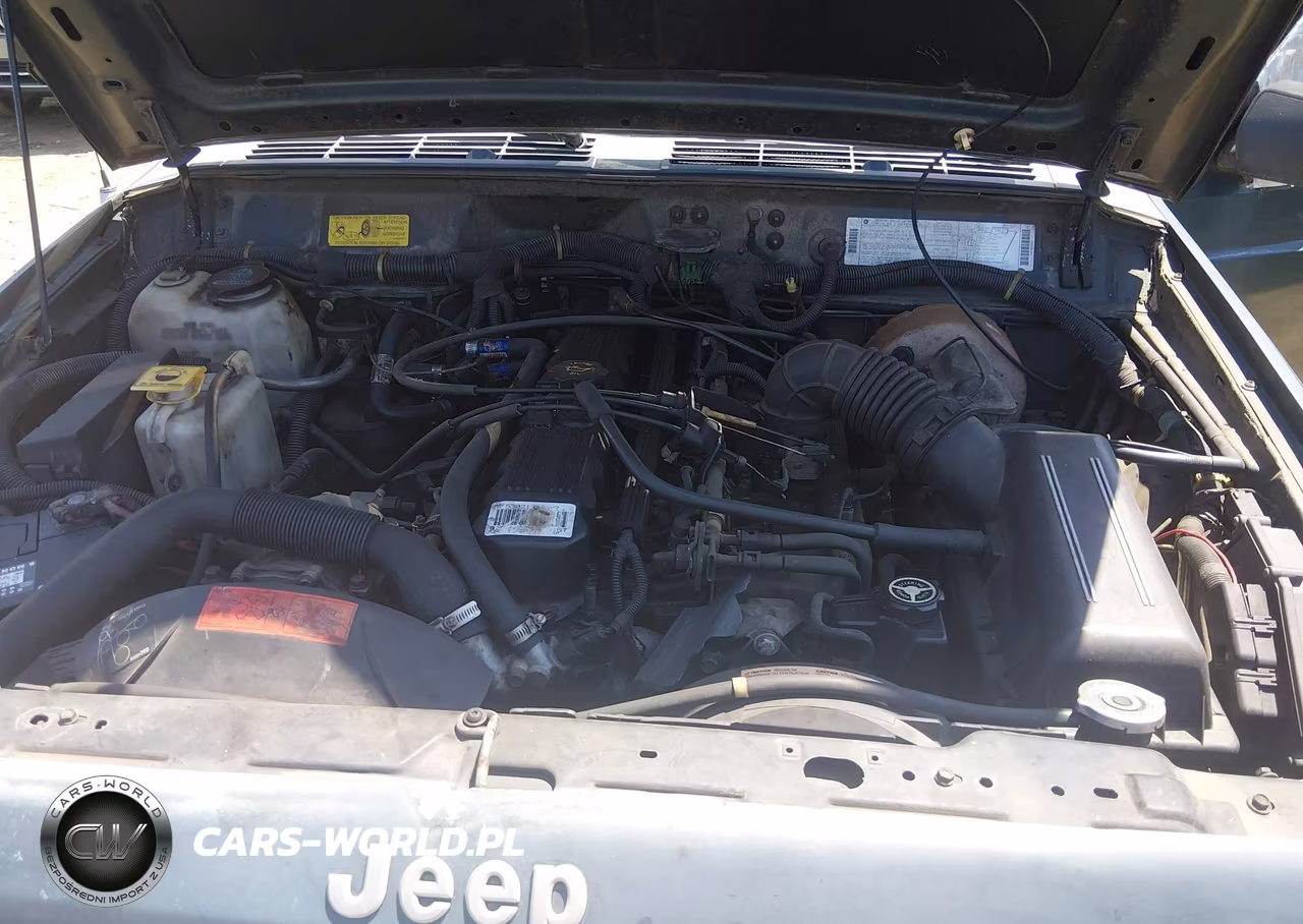 1994 Jeep Cherokee Sport VIN:1J4FJ68S1RL129502 - 10