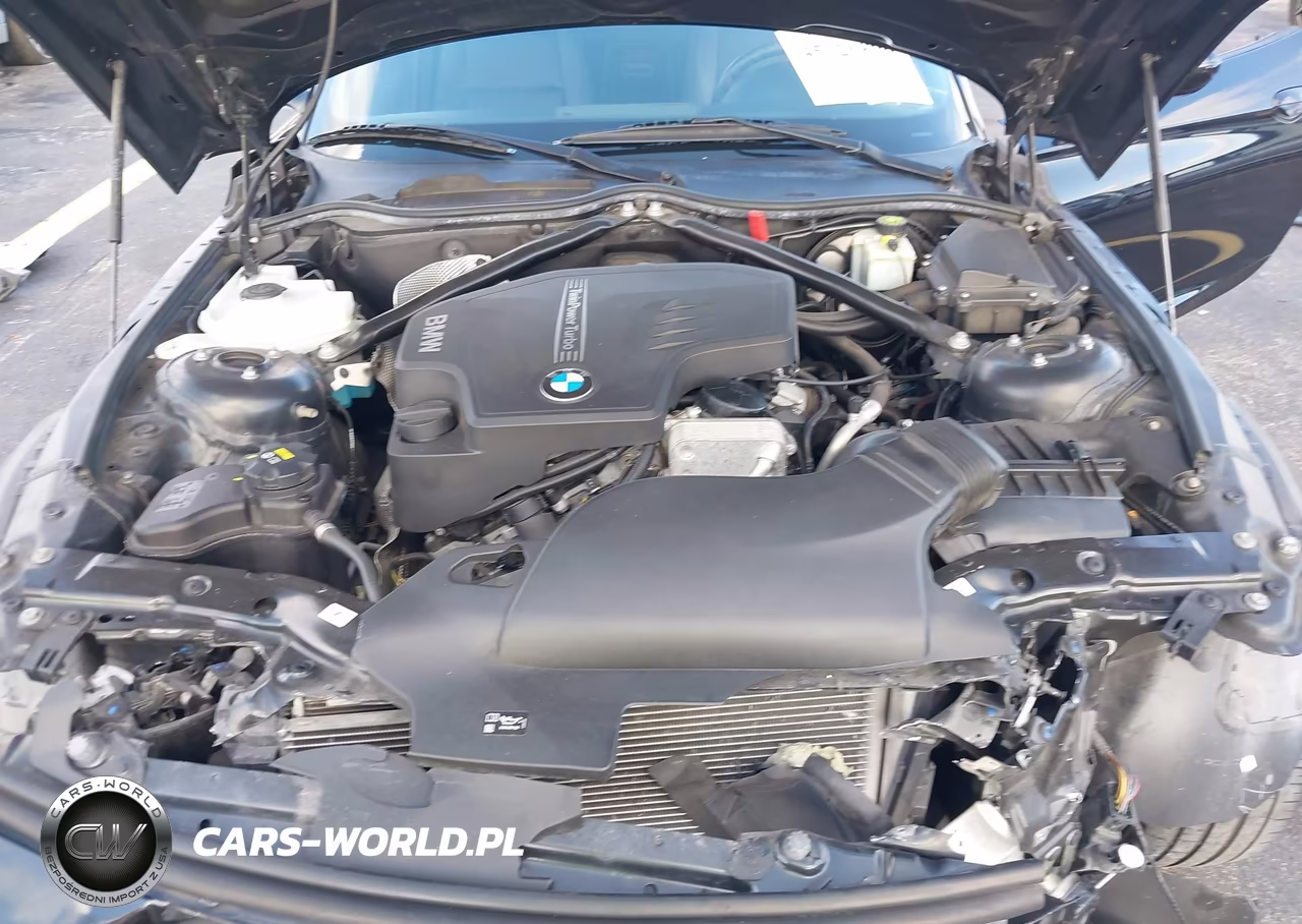 2016 BMW Z4 Sdrive28I VIN:WBALL5C53G5A21317 - 10