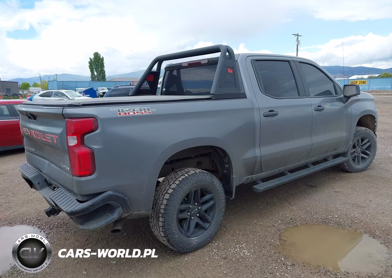 2022 Chevrolet Silverado 1500 Ltd 4Wd Short Bed Custom Trail Boss VIN:1GCPYCEK6NZ144657 - 4