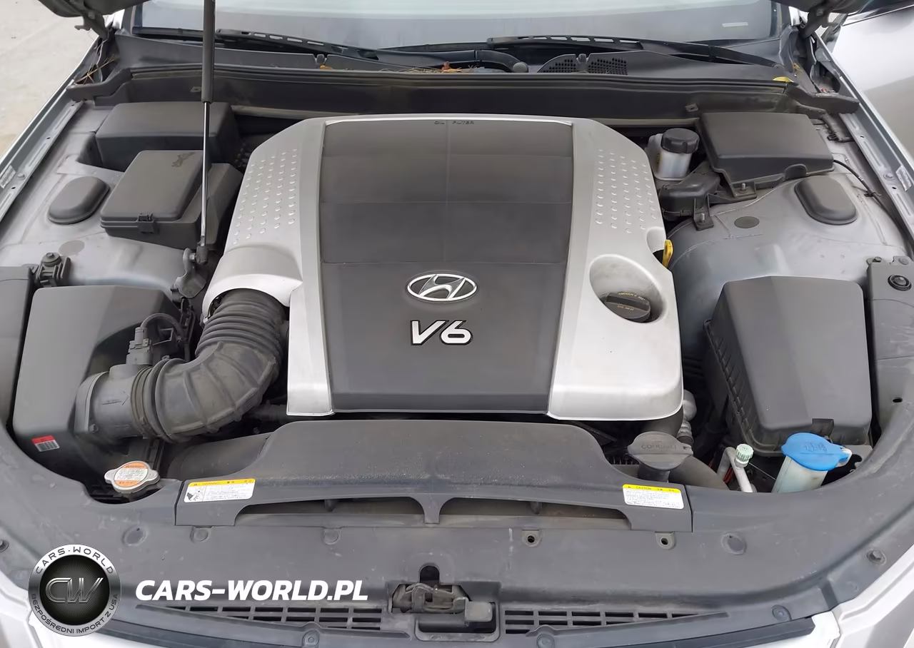 2010 Hyundai Genesis 3.8 VIN:KMHGC4DE4AU081464 - 10