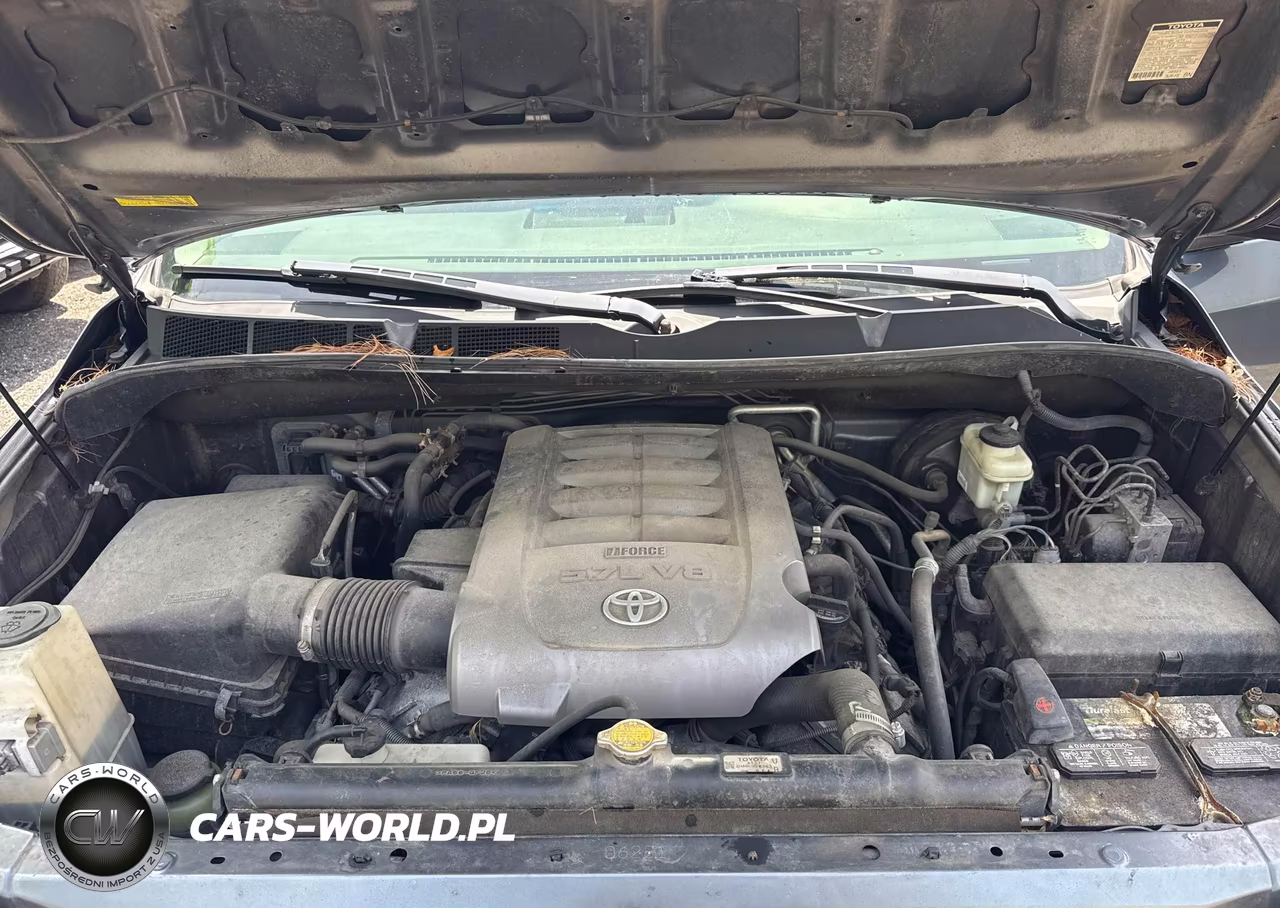 2010 Toyota Sequoia Platinum VIN:5TDDY5G18AS033686 - 10