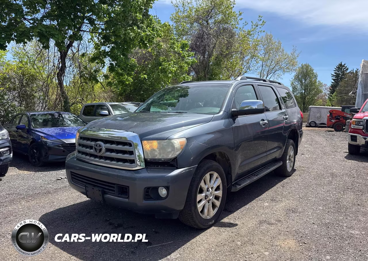 2010 Toyota Sequoia Platinum VIN:5TDDY5G18AS033686 - 2